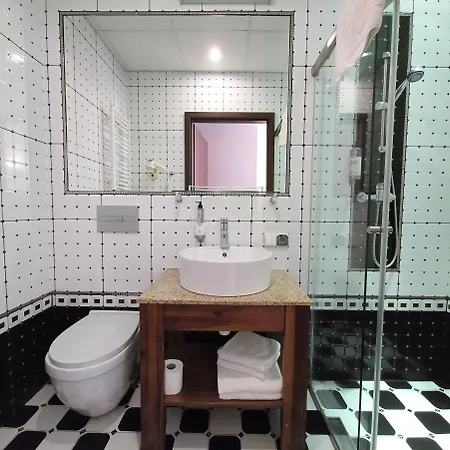 Piast Centrum Hotell 2*